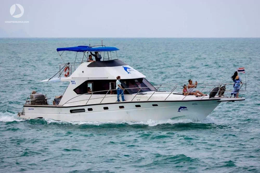 Rent a speed boat Hilux on Koh Samui image 8