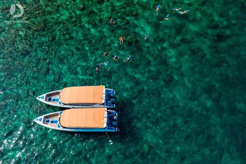Rent a speed boat King Celio on Koh Samui image 13