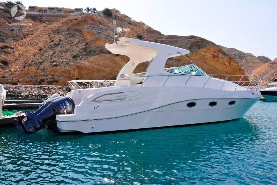 Rent a motor yacht Oryx 36 on Koh Samui image 7