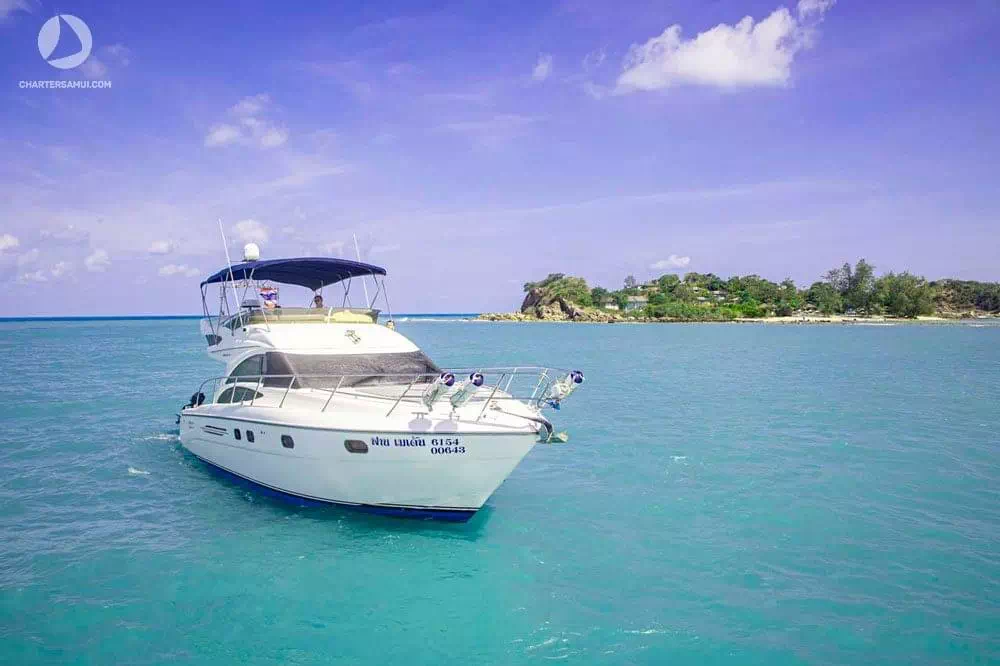 Rent a motor yacht Princess 42 on Koh Samui image 3