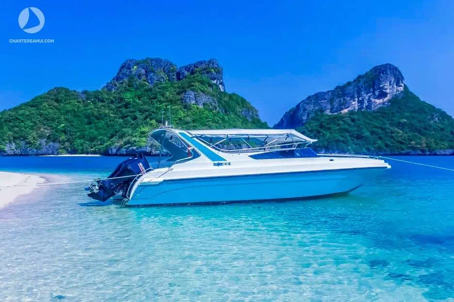 Rent a speedboat Sea Wave on Koh Samui image 1