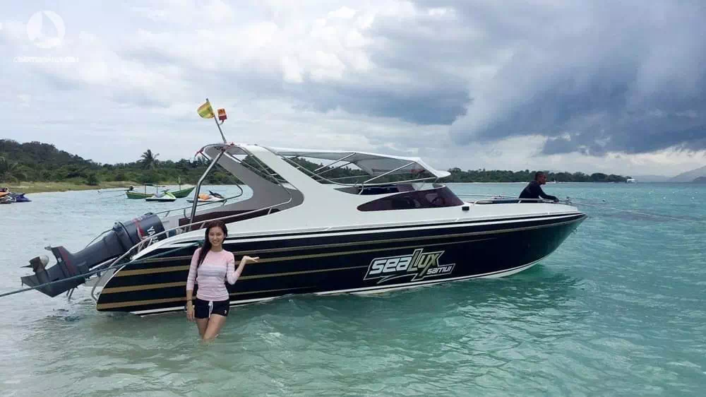 Rent a speed boat Sealux 30 on Koh Samui image 8