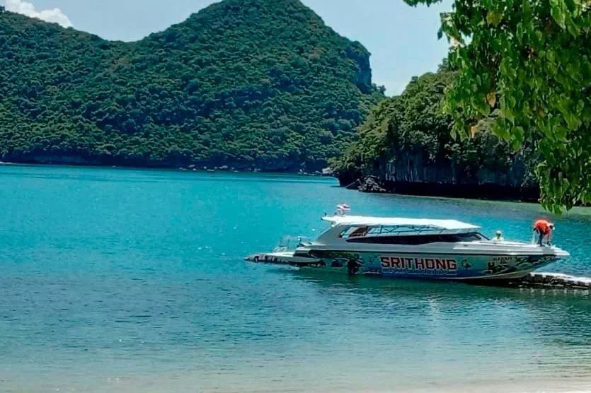 Rent a speed boat Srithong on Koh Samui image 9